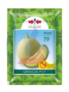 Benih Melon Gracia F1