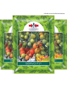 Benih Tomat Servo F1