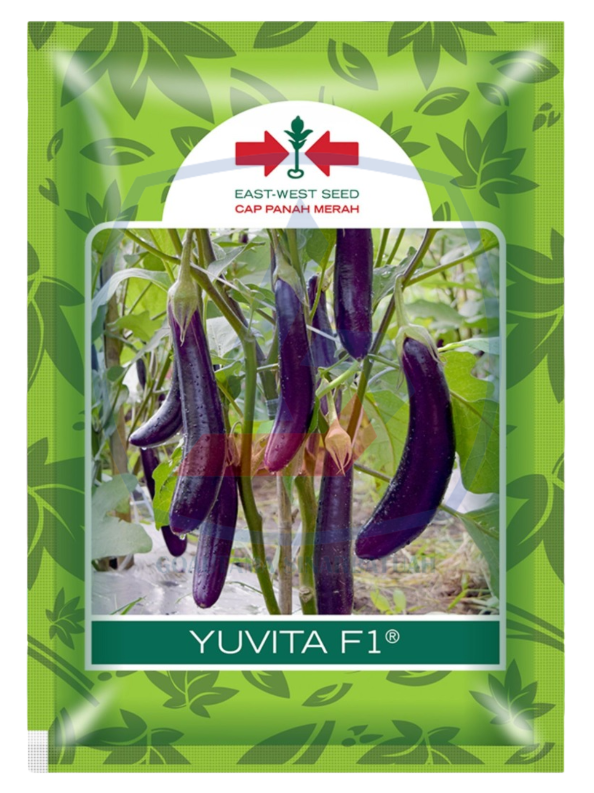 Benih Terong Yuvita F1