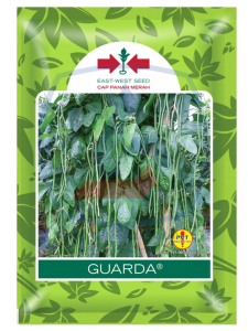 Benih Kacang Panjang Guarda