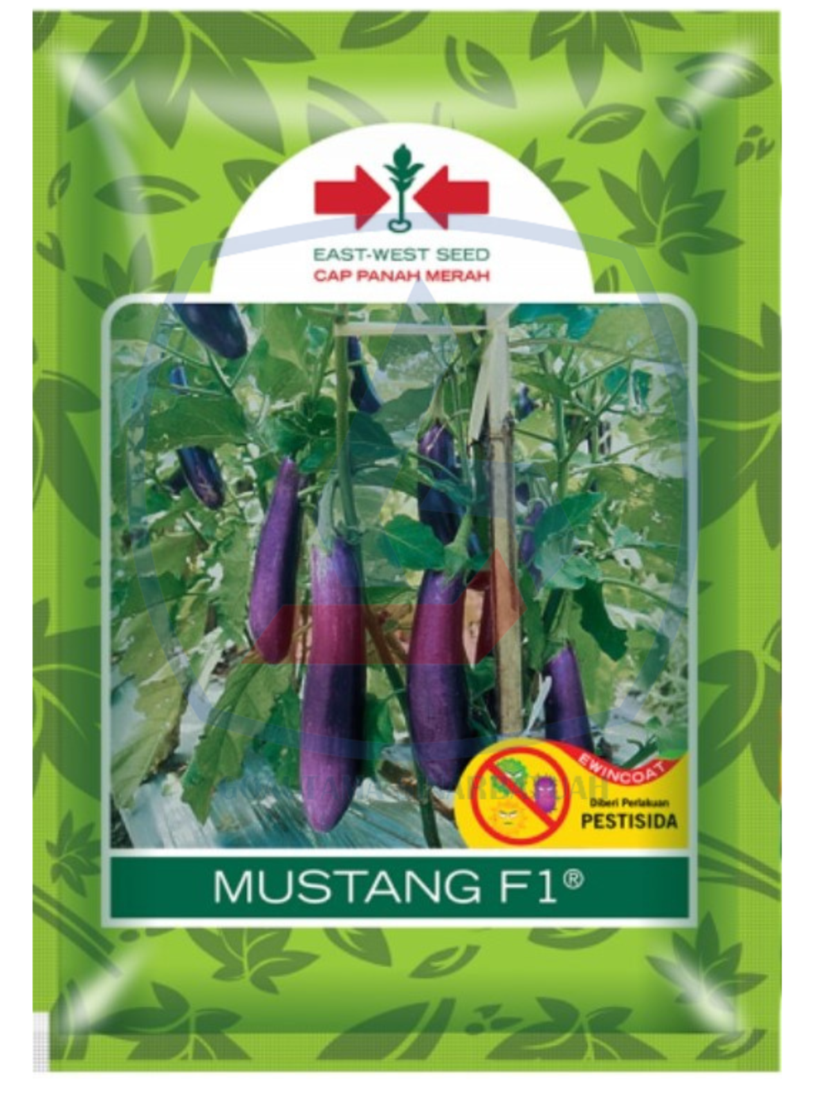 Benih Terong Mustang F1