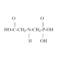 Isopropil Amin Glifosat 48.6%